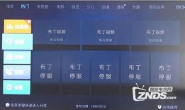 爆料没有视频怎么办呀,无视频爆料背后的故事与真相